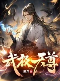 《武极天尊》已完结版全文章节阅读 洛无书白衣卿小说