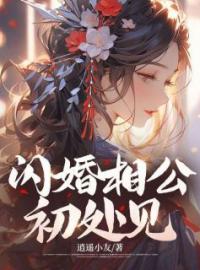 《闪婚相公初处见》小说章节在线阅读 沐欣秦凌小说阅读