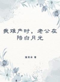 我难产时，老公在陪白月光by叶青柠陆倾宇精彩章节 叶青柠陆倾宇小说全集免费试读