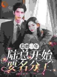 《挽着男伴，我见到了隐婚对象》沈听晚陆逸舟章节在线阅读