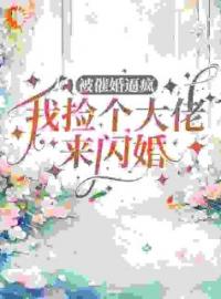 《被催婚逼疯，我捡个大佬来闪婚》颜洛曼傅斯年小说全部章节目录