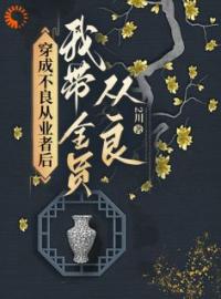 精品热文《穿成不良从业者后我带全员从良》陆辛夷周文斌小说全文完整版在线阅读无删减