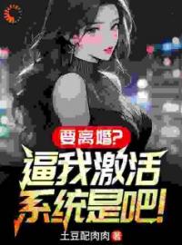 《离婚后，我靠娶小姨子走上巅峰》李苏白宫未央章节列表精彩阅读